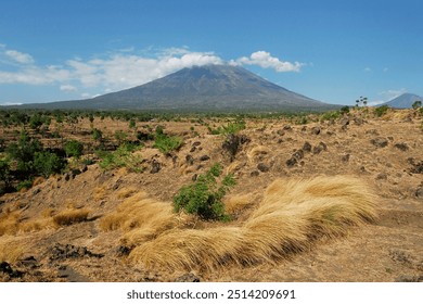 Dry savanna grasslands with Mount Agung Bali, Indonesia in the background.
Enjoy Bali. - Powered by Shutterstock