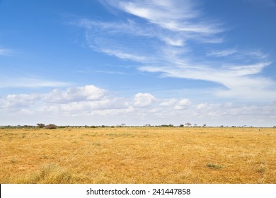 Dry Savanna Landscape In Tsavo East National Park In Kenya.