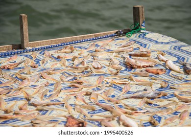 Dry Sea Fish Seafood From Artisanal Fisheries In Thailand 