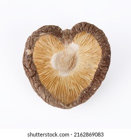 Dry Shiitake Mushrooms Isolated On White Background