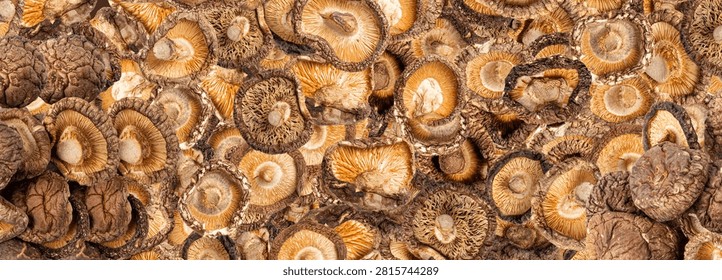 Dry Shiitake Mushrooms Pattern, Raw Shitake Set, Healthy Organic Asian Fungi, Common Chinese Edible Shiitake Mushroom on White Background Top View