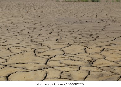 Desertify Images, Stock Photos & Vectors | Shutterstock