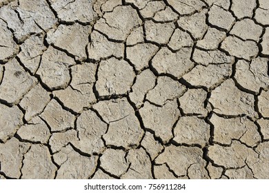 Dry Soil Cracking 