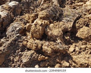Dry soil is difficult to plow. - Shutterstock ID 2394989159