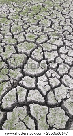 Dry soil like draught and grass blooming out of it.
