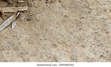 Dry soil scattered with fallen leaves and small debris, depicting a barren - Powered by Shutterstock