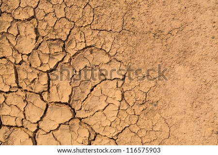 dry soil texture background