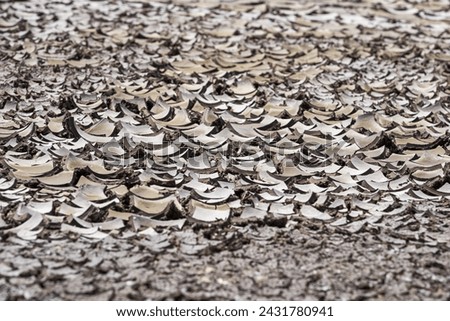 Similar – Image, Stock Photo dry soil without plants close up