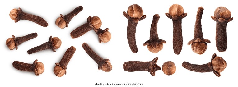 Dry spice cloves isolated on white background. Top view. Flat lay