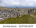 Dry stone wall amidst classic Yorkshire Dales scenery in North England. 