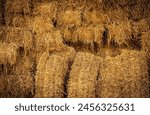 Dry straw bale and agricultural byproducts. stacked yellow straw bales for animal fodder and livestock bedding. Straw bales in sustainable farming. Agricultural byproducts. Agricultural practices.