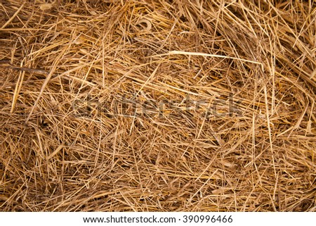 Dry straw macro. Background or Texture