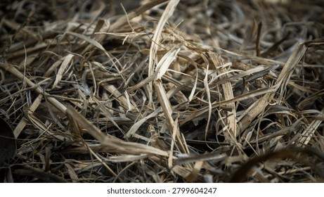 Dry straw texture background with close up view of dried grass pile in rural nature farm