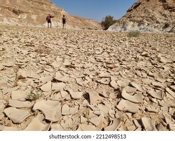 Dry Stream Bed . Ovil , Israel