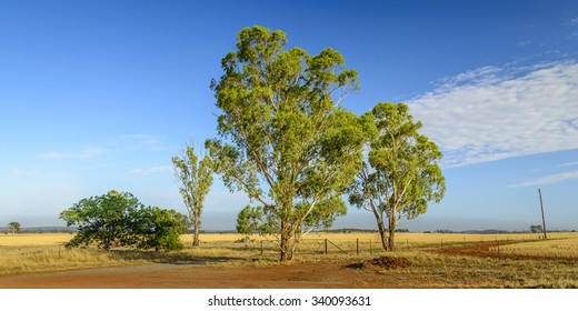 Dry Summer Outback Australian Farmland