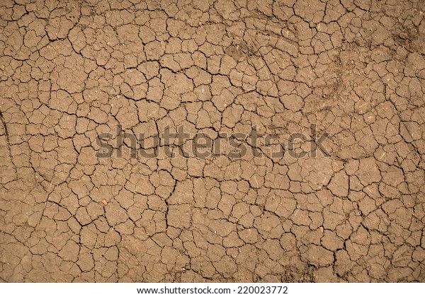 Dry Terrain Texture Background Stock Photo Edit Now 220023772