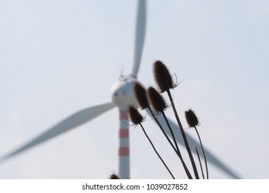 dry thistle flower and electric wind generator - Shutterstock ID 1039027852