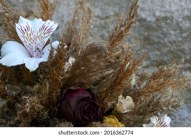 Dry thistle flowers with grass, closeup. Wild decorative plants from nature. Arranged on dark wood. Front view. Diffused light coming from the window. . High quality photo