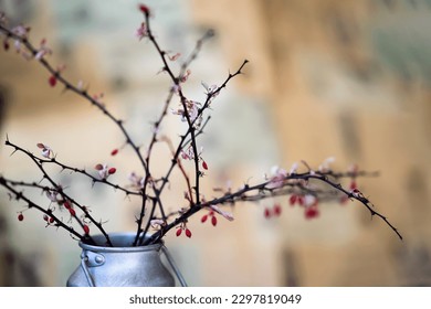 Dry thorny branches with berries in metal jug, still life, in style of ikebana on  light background. Selective focus