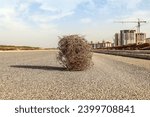 Dry thorny tumbleweed plant on a desert road