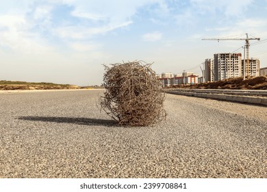 Dry thorny tumbleweed plant on a desert road