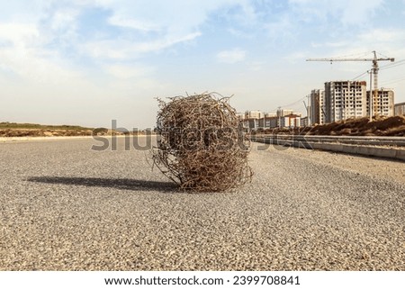 Dry thorny tumbleweed plant on a desert road
