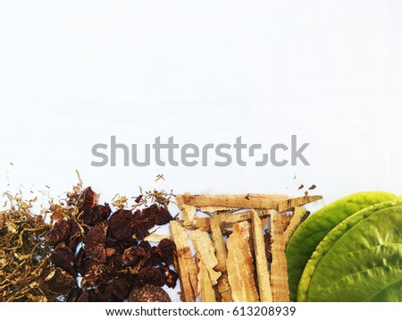 Dry tobacco, dry betel nut, dry core and betel leaves for chewing the betel nut on white background