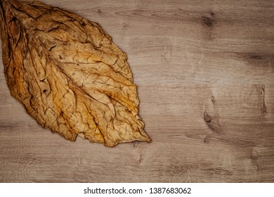 Dry Tobacco Leaf On Wooden Table.  High Quality Tobacco Texture, Close Up