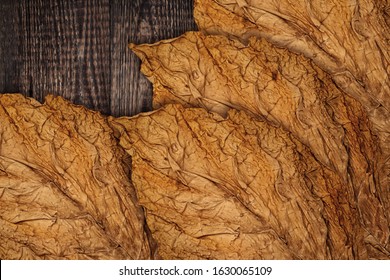 Dry Tobacco leaves on wooden background, close up. High quality  tobacco  big leaf, macro closeup