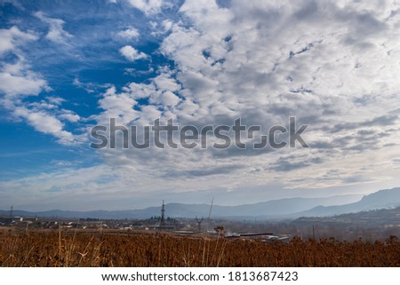 Similar – Image, Stock Photo Dry buds Environment