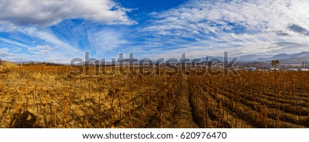 Similar – Image, Stock Photo Dry buds Environment