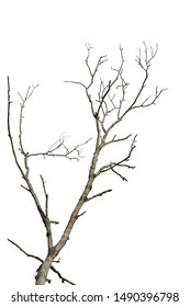 Branches Images, Stock Photos & Vectors | Shutterstock