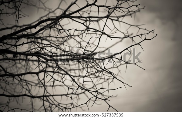 Download 93 Background Reference Art HD Terbaik