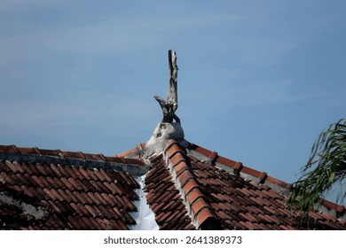 Dry tree root decorations installed on tiled roofs add artistic value to a building
