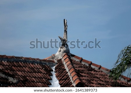 Dry tree root decorations installed on tiled roofs add artistic value to a building