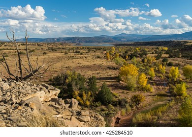 Dry Tree In Semi Arid Climate Zone Landscape In Colorado Fields, USA