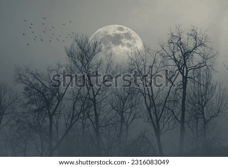 Dry trees in the misty forest and full moon in the sky, dark night and horror background