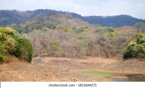 Dry Tropical Monsoon Forest In India