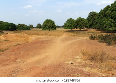 Dry Tropical Savanna In Burkina Faso, West Africa.