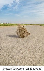 Dry Tumbleweed Grass Rolling Down The Road