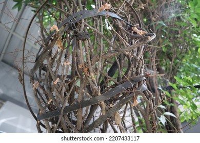 Dry Twig Decoration Is Very Unique For Decoration