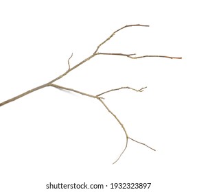 Dried-bush Images, Stock Photos & Vectors | Shutterstock