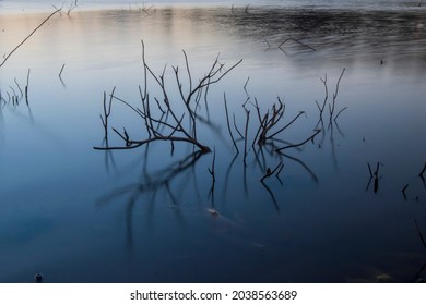 Dry Twigs In The Water, Slow Motion Water