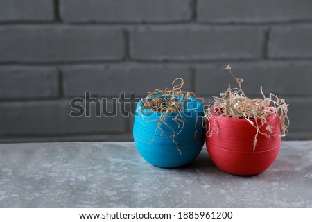 Dry two indoor plants in colorful flowerpots on the background of a gray brick wall. Dead flowers in the blue and red flower pots on gray surface of the stand. Close-up.