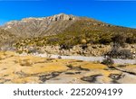 Dry Wash in McKittrick Canyon With Wilderness Ridge in The Distance, Guadalupe Mountains National Park, Texas, USA