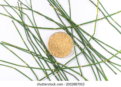 Dry Water Horsetail, Swamp Horsetail, Equisetum Fluviatile Extract. Top View.