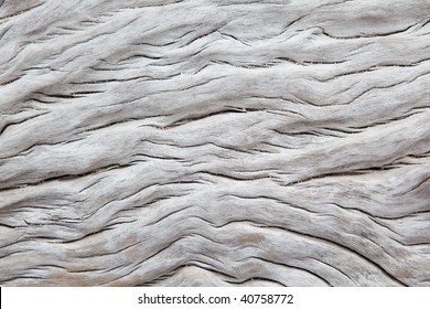 Dry white driftwood with irregular texture