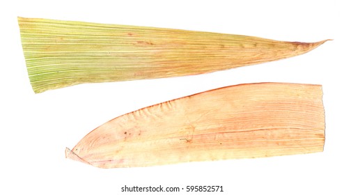 Dry White Maize Leaves Pressed Isolated On White