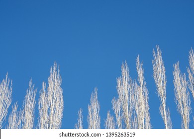 Once Upon A Blue Sky