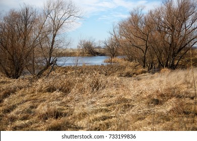 Dry Winter Grassland And Frozen Pond Behind Leafless Trees For Duck And Geese Hunting